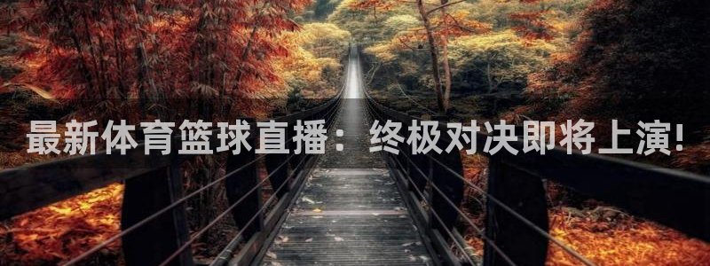 最新体育篮球直播：终极对决即将上演!