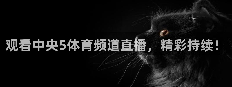 观看中央5体育频道直播，精彩持续！