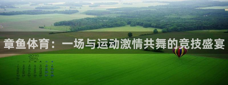 章鱼体育：一场与运动激情共舞的竞技盛宴