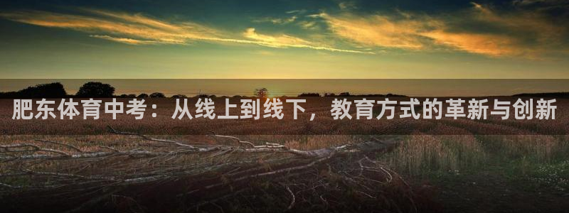 肥东体育中考：从线上到线下，教育方式的革新与创新