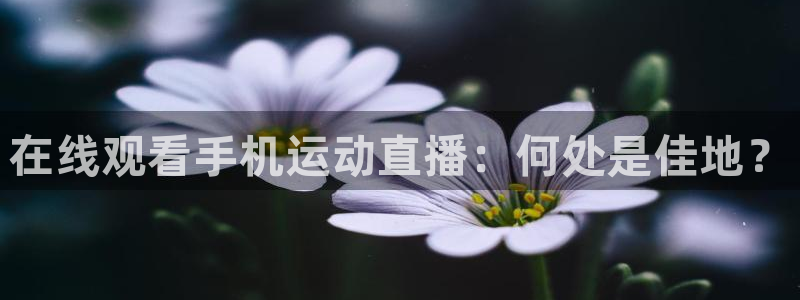 在线观看手机运动直播：何处是佳地？