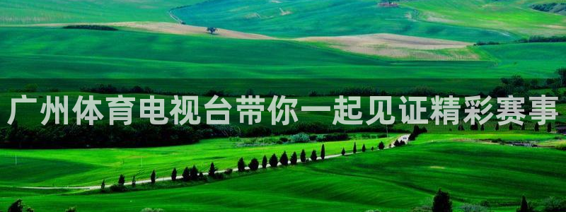 广州体育电视台带你一起见证精彩赛事