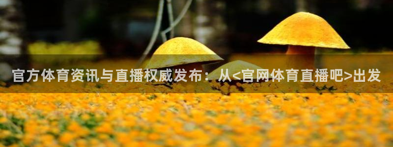 官方体育资讯与直播权威发布：从<官网体育直播吧>出发