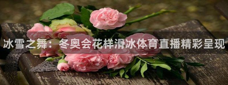 冰雪之舞：冬奥会花样滑冰体育直播精彩呈现